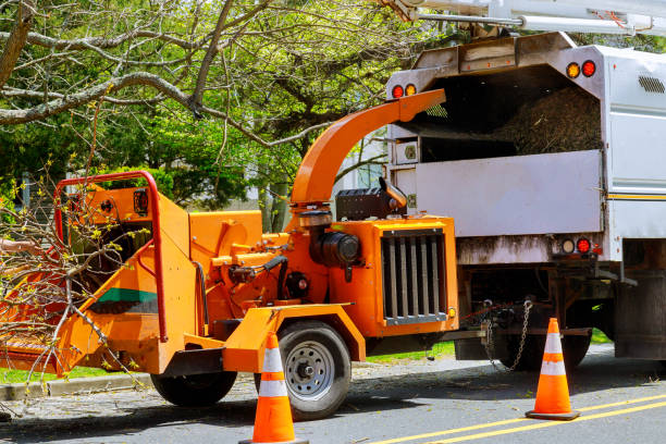 Best Hazardous Tree Removal  in Marbury, AL