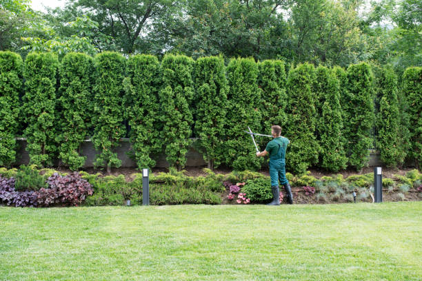 Best Tree Maintenance Programs  in Marbury, AL